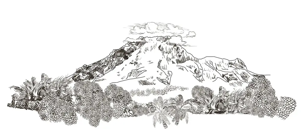 TAB. MONTAGNE PELEE 66% CACAO